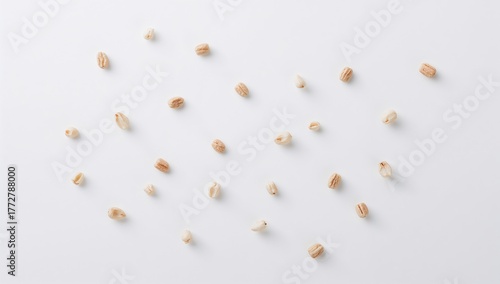 Dry pet food on a white bac...