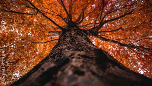 Base of a tree trunk during...