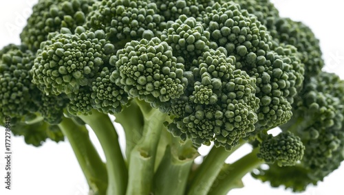 Fresh broccoli close-up, fi...