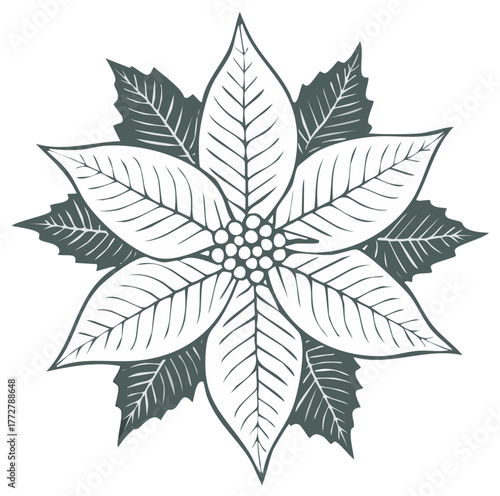 Poinsettia Flower Vector Illustration for Holiday or Christmas Design
