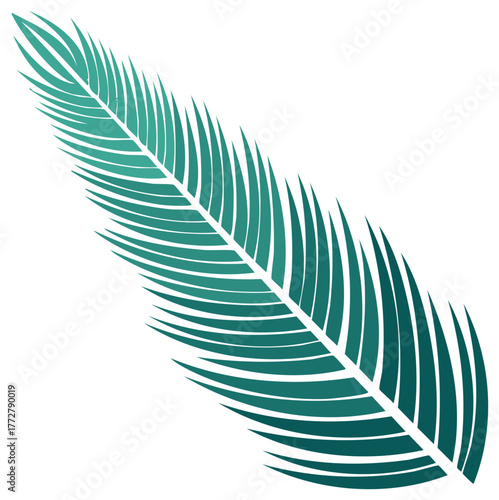Tropical palm leaf illustration featuring vibrant teal green tones, against a white background for simple design elements