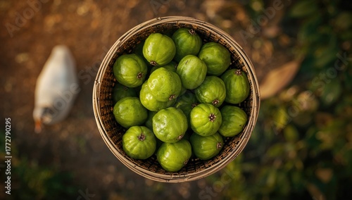 Top view of emblica amla fr...