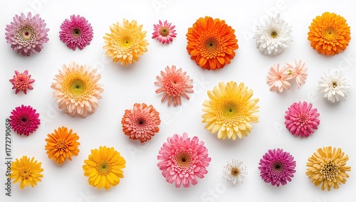 Assorted flowers displayed ...