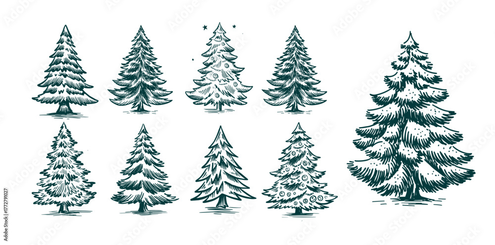 Fototapeta premium Christmas tree set on white. Hand drawn illustration. 