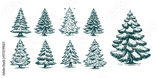 Christmas tree set on white. Hand drawn illustration.	
