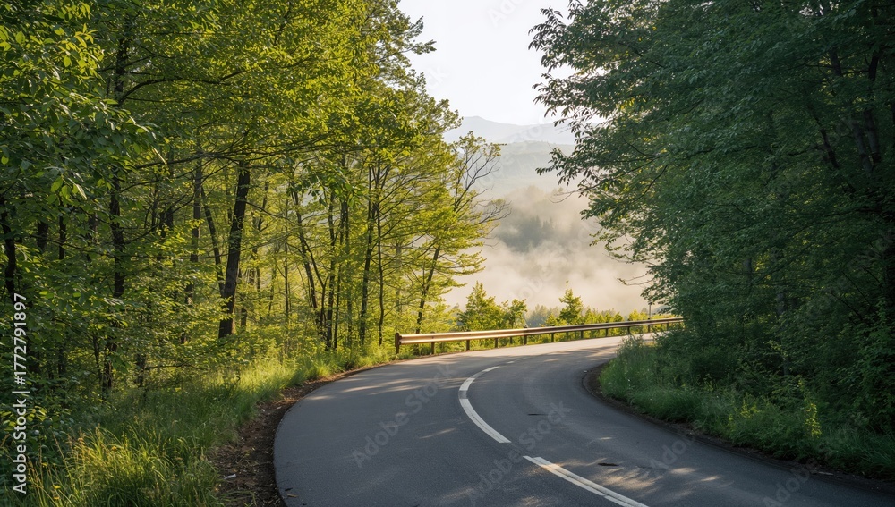 Fototapeta premium Forest pathway during summer