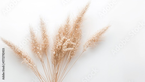 Autumn arrangement, beige r...