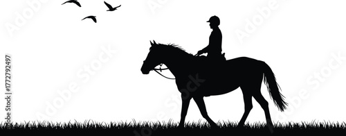 Silhouette horse rider on grassy field with flying birds, equestrian outdoor scene, horseback riding nature illustration, peaceful countryside landscape, black white vector art design