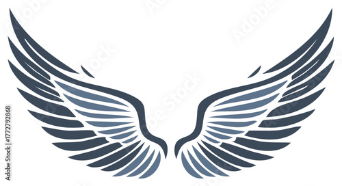 Decorative Angel Wings Illustration: Elegant Winged Design for Symbolism and Concepts