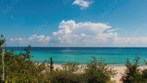 Fototapeta Naklejka Na Ścianę i Meble -  The Baltic Sea during summer, showcasing seasonal change