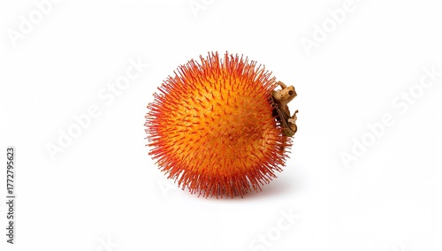 Fresh Rambutan Isolated, fi...
