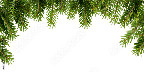 christmas tree branches frame on white