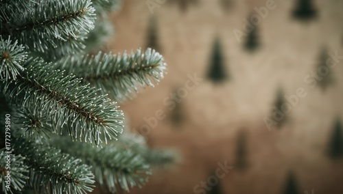 Close-up of fluffy fir tree...