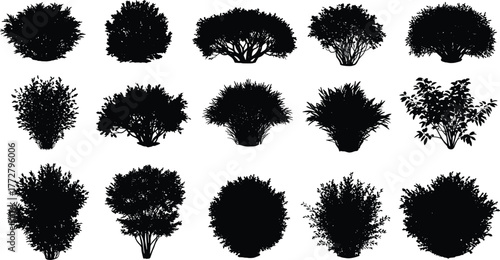 Bush silhouette vector, shrub clipart set, foliage illustration, garden plant design, landscape element art, nature greenery shape, decorative hedge graphic