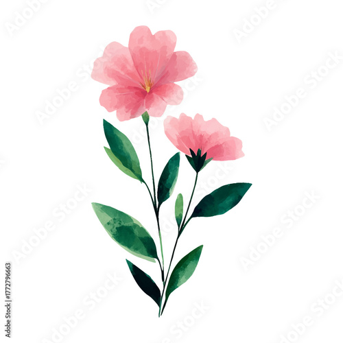 Pink watercolor flowers displaying soft petals and vibrant green leaves, painted in a botanical style, symbolizing growth, beauty, and natural elegance, presented with a transparent background