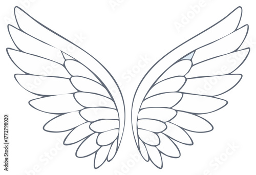 Stylized wings with delicate feather outlines and a smooth graceful curve