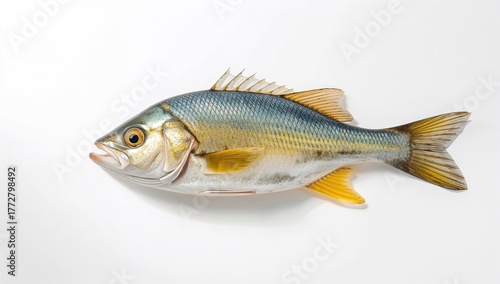 Fresh Snapper fish on a pla...