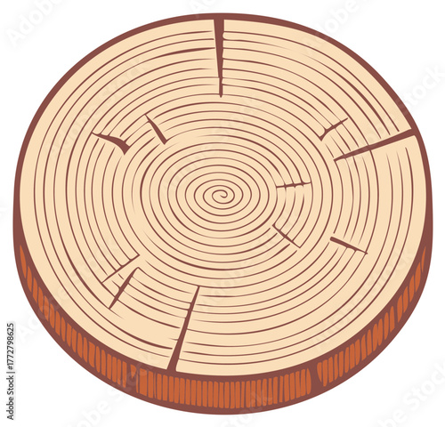 Tree trunk cross section displaying natural growth rings and wood texture illustration