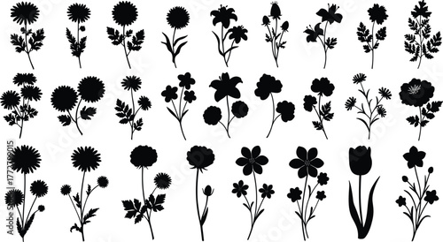 Flower silhouette vector, floral clipart set, botanical plant design, garden bloom illustration, decorative blossom art, nature foliage graphic, leaf outline