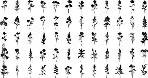 Flower silhouette vector, plant clipart set, botanical illustration design, garden foliage art, nature floral graphic, decorative blossom outline, leaf shape