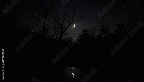 Observing the waning moon t...