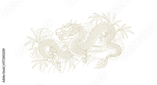 Stylized depiction of a graceful dragon surrounded by bamboo on a white background