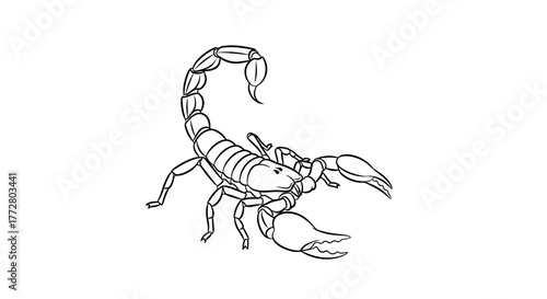 Detailed line art illustration of a scorpion with curved tail poised to strike with its claws