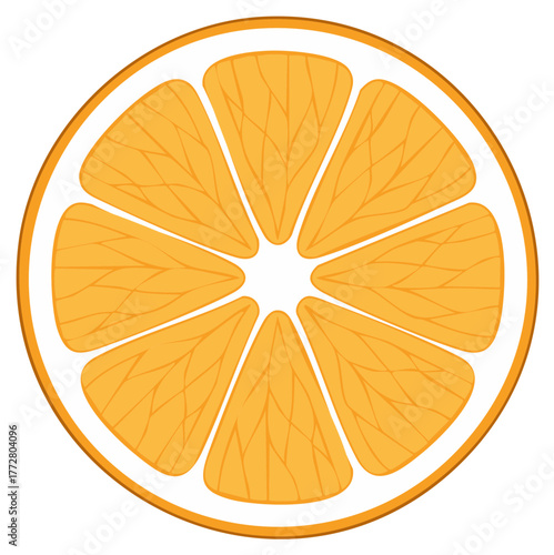 Bright Orange Citrus Fruit Slice with Segmented Interior and White Peel