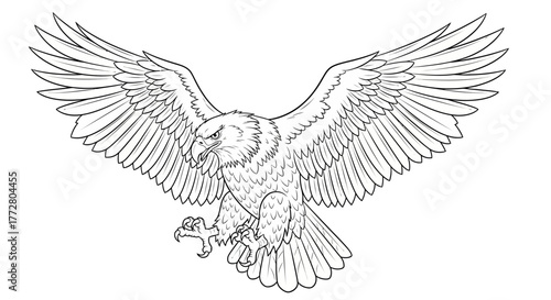 Majestic eagle soars with wings spread wide in detailed black and white line art