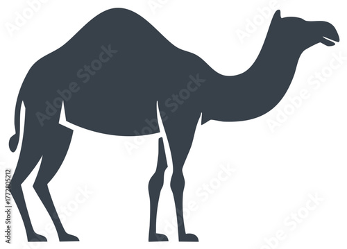 Silhouette of a single hump camel standing facing right