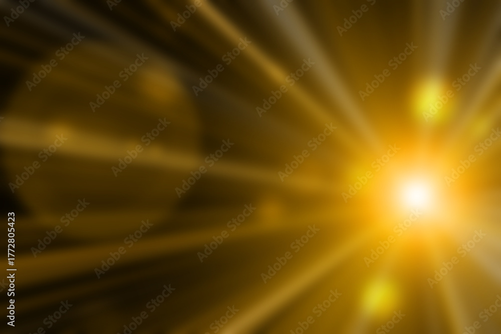 Obraz premium Sunset Light Flare Overlay
