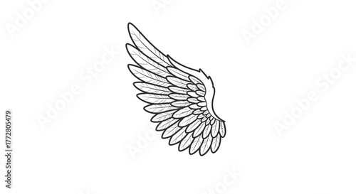 Ornate wing illustration with detailed feathering and bold outline conveying symbolism