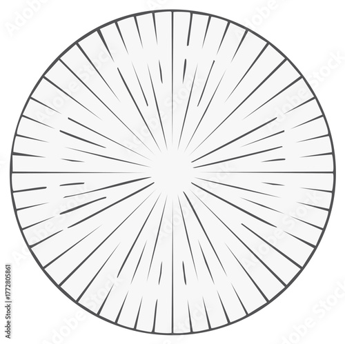 Radial Burst Lines Circular Design Abstract Sunburst Geometric Pattern Monochrome