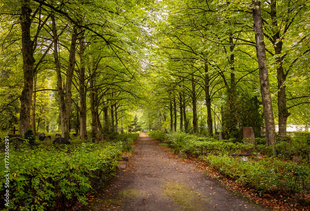 Fototapeta premium A calm autumn scenery with a path leading through a graveyard. Fall landscape of Riga, Latvia.