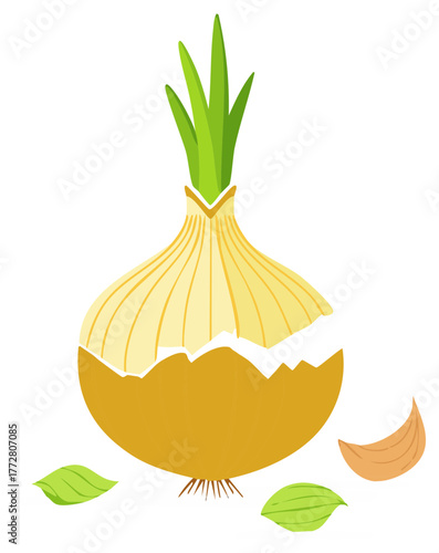 Illustration of a stylized onion with green leaves, showing a peeled layer and individual petals.