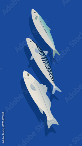 Mackerel and sea bass fish