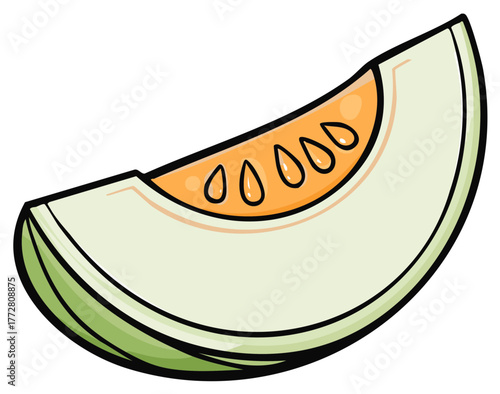 Isolated Cantaloupe Slice Illustration Fresh Fruit Cartoon Style With Seeds and Sweet Orange Pulp