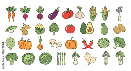 Colorful collection of various hand drawn fresh vegetable illustrations.