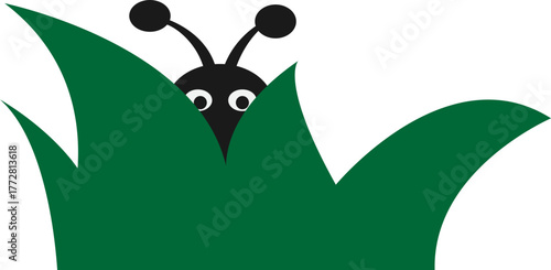 풀숲에 숨어있는 곤충