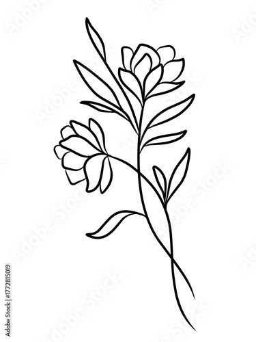 vector illustration of a flower