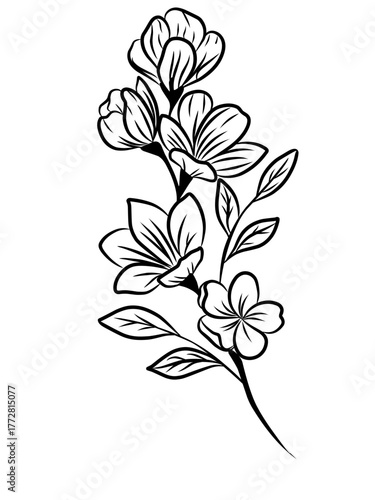vector illustration of a flower