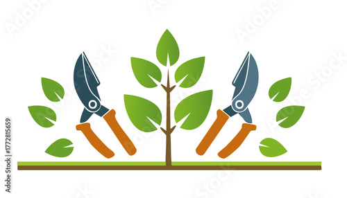 Bush trimming with sharp blades maintaining garden beauty encouraging new branches and healthy leaves