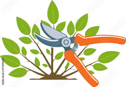 Garden pruning scissors trimming fresh green bush for healthy plant growth and clean landscape maintenance