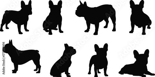 French bulldog silhouette, dog poses vector, pet clipart set, black animal shapes, flat design, editable, isolated, cartoon style, digital art