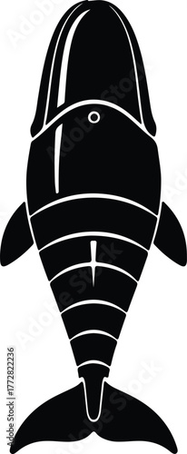Vector Beluga whale simple graphic art glyph silhouette illustration
