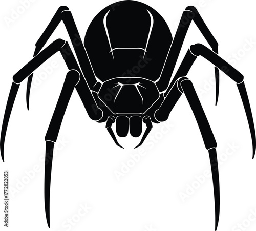Vector black widow spider with long legs silhouette illustration