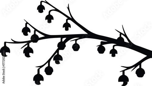 Vector black silhouette branch with bell shaped fruits silhouette illustration