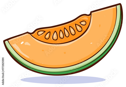 Cantaloupe slice illustration with seeds and orange pulp, fresh healthy fruit.