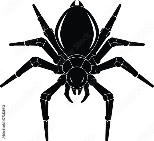 Vector spider arthropod arachnid scary black graphic silhouette illustration