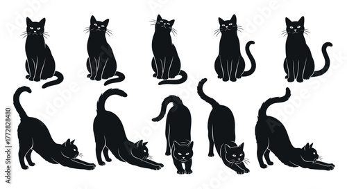 Black Cat Silhouettes in Various Poses – Sitting, Stretching, Walking, and Crouching
